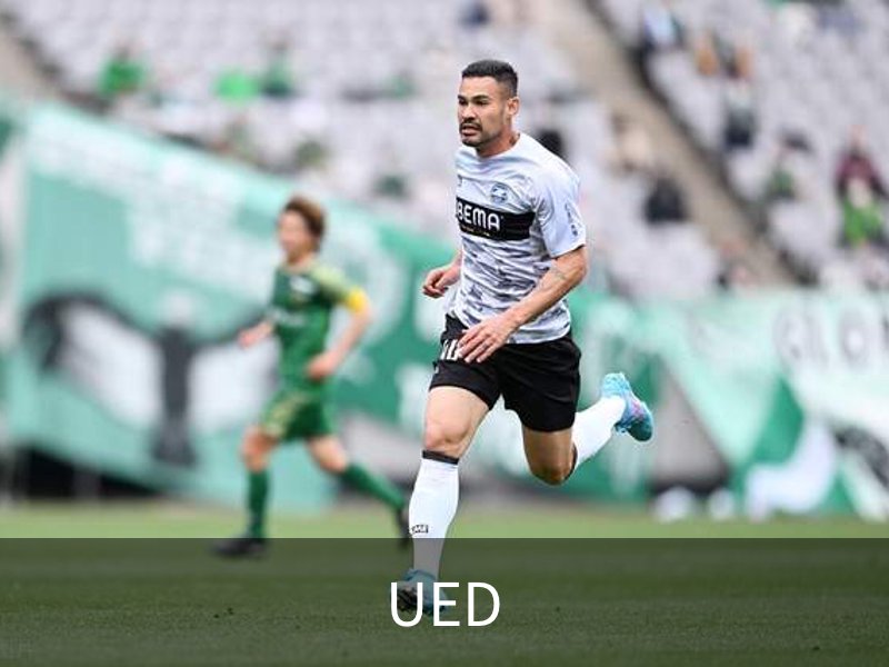 UED·(国际) - 体育官网
